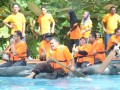 Tn DSC 4499